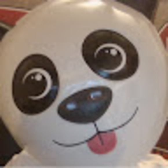 Meet your Posher, Ren - Picture 1 of 1